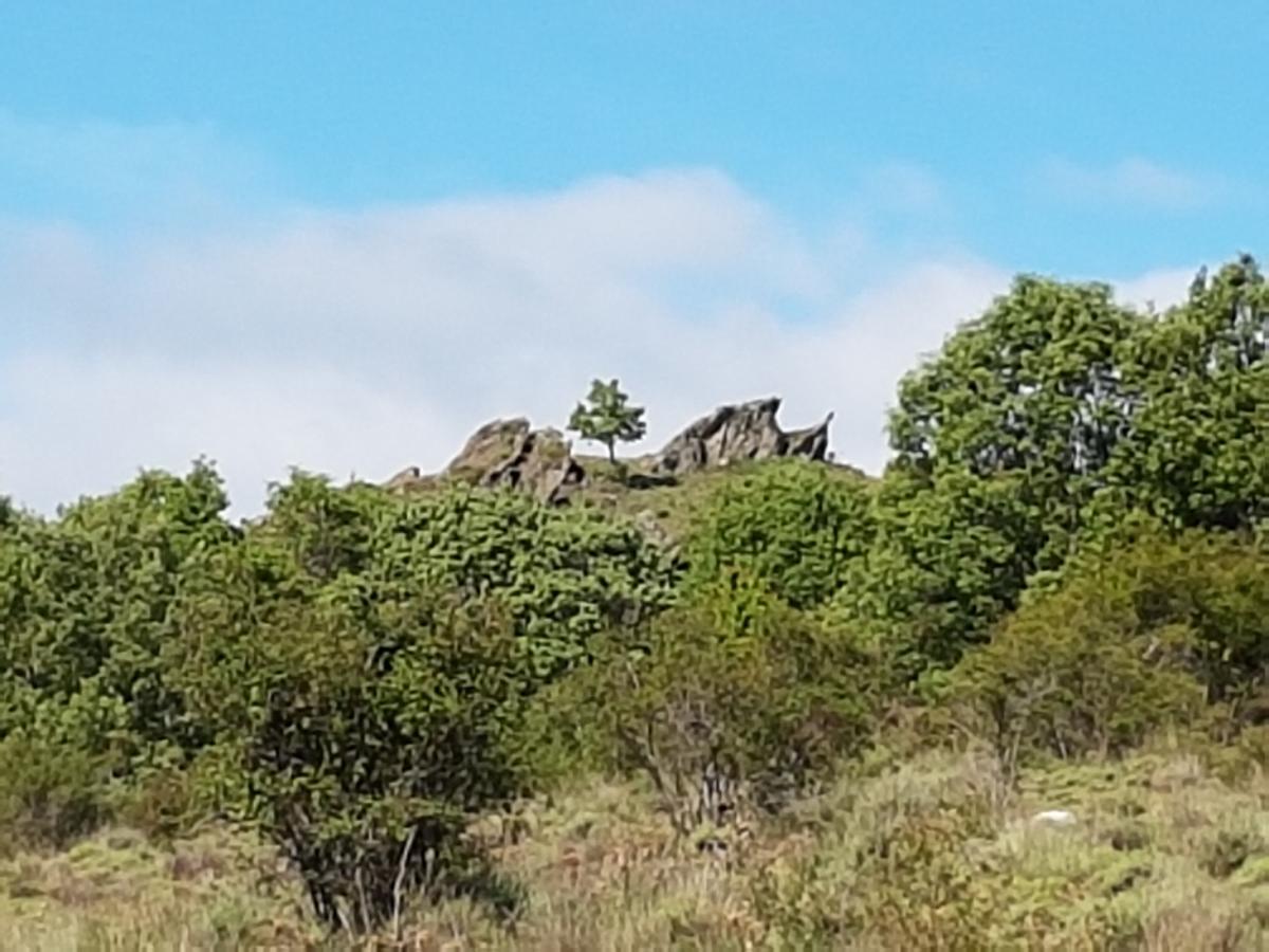 La Posada De Horcajuelo Horcajuelo de la Sierra Екстер'єр фото