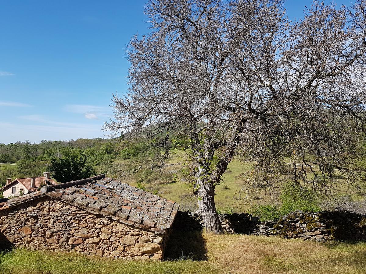 La Posada De Horcajuelo Horcajuelo de la Sierra Екстер'єр фото